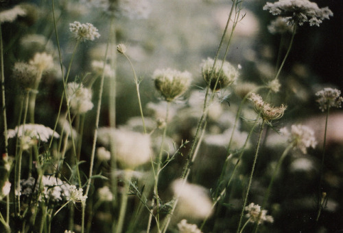 untitled by veinest on Flickr.