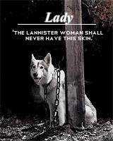 alexsexklaus:  thronesgifs challenge: [2] creatures » direwolves↳ These wolves