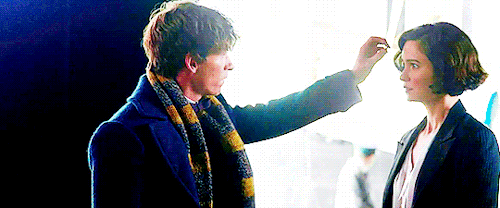 hardyness:Fantastic Beasts and Where to Find Them → Newt touching Tina’s hairNewt gazes at Tina, awk