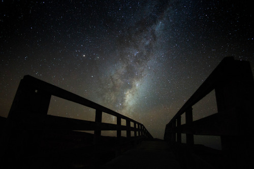 Bridge to the Stars, Christchurch New Zealand [4000x6000] [OC]