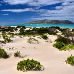 tasmaniabehindthescenery:  Island Living Tranquil Flinders Island lies off the north east coast of Tasmania. Beyond the shifting sand dunes of the deserted beaches lies the pristine cool waters of the Bass Strait and sightings of other untouched islands.