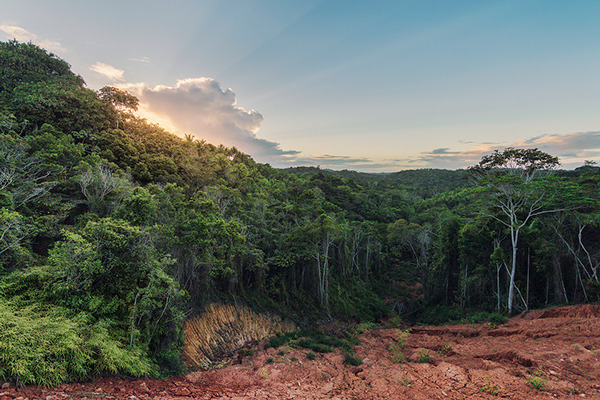 definitelydope:  Tropical, Lukas Furlan