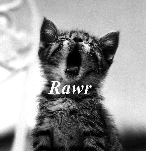 littleredridemgood: ~ Rawr! ~