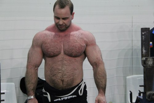 Muscle & Power Lifting Bear Pinups
