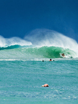 surf4living:  otto flores ph: mikenelson