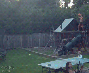 gif-guy:  Other Funny Gifs http://gif-guy.tumblr.com/