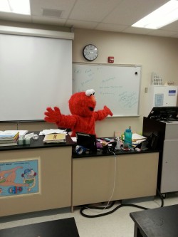 rogankiwifruit:  benedictbandersnatch:  My biology teacher dressed up as elmo for the last day because she’s retiring and seriously gives zero fucks I PROMISED HER SHE WOULD BE TUMBLR FAMOUS COME ON PEOPLE  and as tumblr users we promise she will be