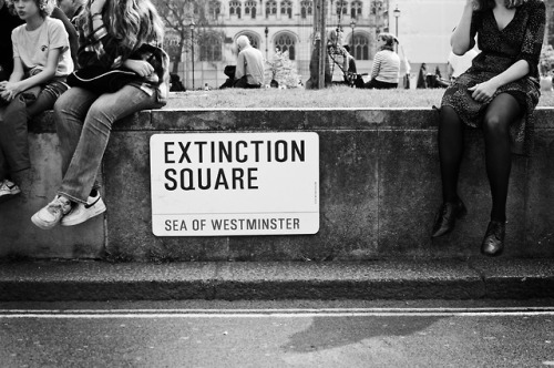 Extinction Rebellion, Parliament Square.