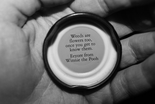 these-times-will-pass:  Love quotes? you will love this blog! 