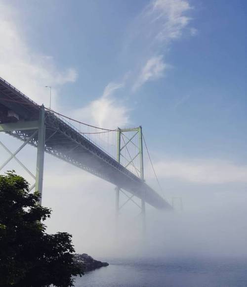 Shallow fog late this morning over the Halifax Harbour #Halifax #haligonia #fog #brouillard #NovaSco