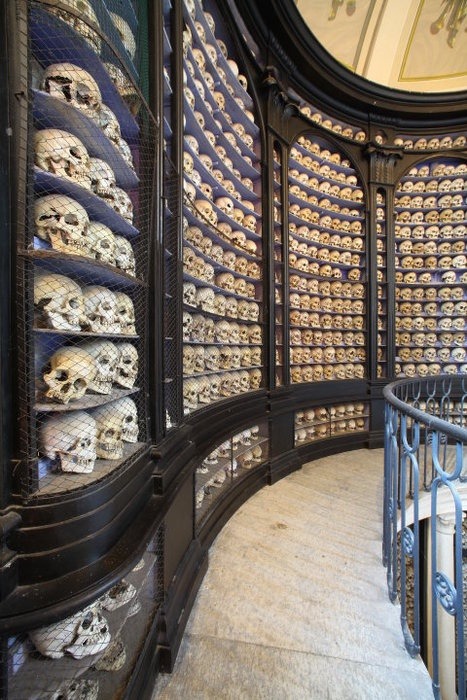The Mutter Museum in Philadelphia Was originally opened in the 1900s for medical