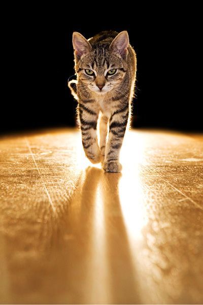 Coming for you…
