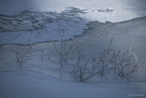 Ice-Light, Stones, Cone: Shots from my travels in the Westriverwindphotography, January 2018