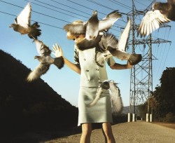 roguetraders:  alex prager, “Eve” 2008