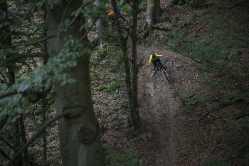 gambisk:Friday’s MTB selection via pinkbike.com