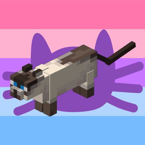 Catgender Siamese Cat■ ■ ■ / ■ ■ ■ / ■ ■ ■