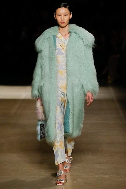 telojuropordior:looks @ miu miu fw 2017 porn pictures