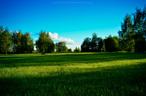 Meadow. Wallpaperphoto by Kirienko Roman (romanophoto.tumblr.com)If you like this, follow my blog fo