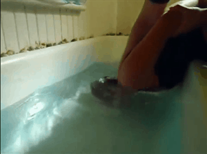 Women Blowing Bubbles Underwater