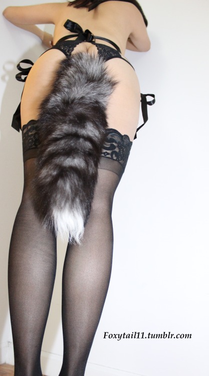 foxytail11: My latest sexy petplay and tailplug outfit.  My foxtail sets www.foxytail11.tumblr.