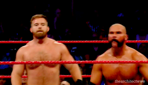 thearchitectwwe:  They’re back!
