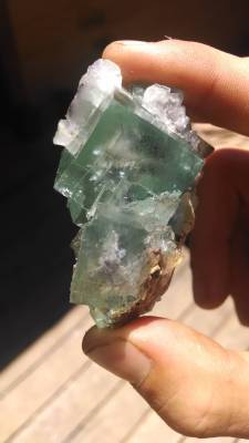 ifuckingloveminerals:  Fluorite China