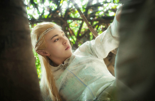 cosplaychina: The Lord of the Rings | Legolas Cosplay by @公子青桑 | PHX by @萧影殿下 | 