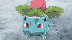 mypokemonranch:  Ivysaur  (#002) - The Seed Pokémon