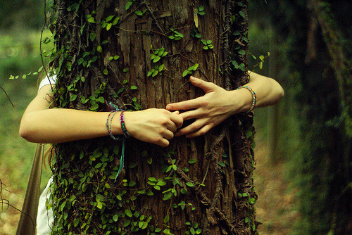 dirtyhippieproductions:  “A tree is beautiful, but what’s more, it has a right
