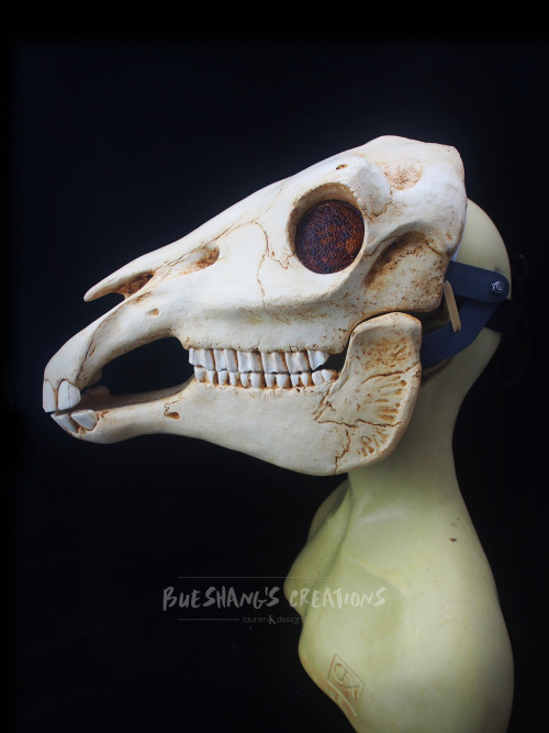 My newest mask is finally done! Meet the majestic horse skull, perfect for all you Mari Lwyd needs.T