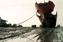 zousen-news:  SeaNews Turkey - China drops vessel scrapping fee as domestic cargo volumes rise