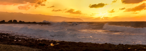 Pupukea Beach Oahu North Shore, Oahu - Hawaii 2014