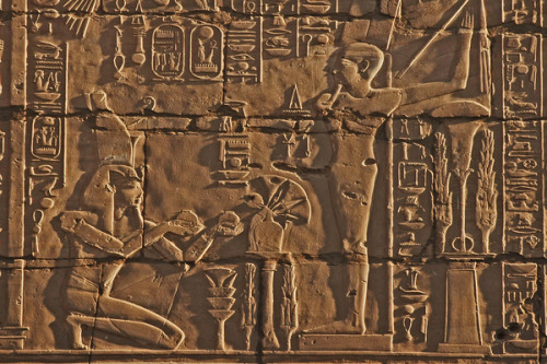 grandegyptianmuseum:King Seti I making an offering to the fertility god Min, Karnak