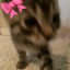 leilanixl