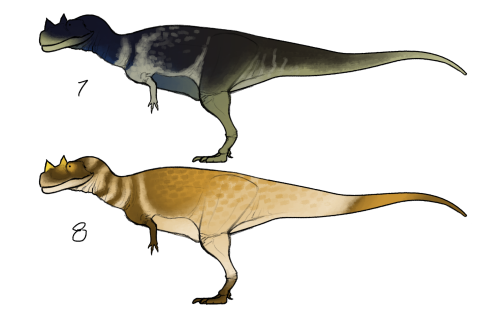 Ceratosaurus nasicornis colour designs!Have I finished the Ceratosaurus sculpture yet? no.Have I bee