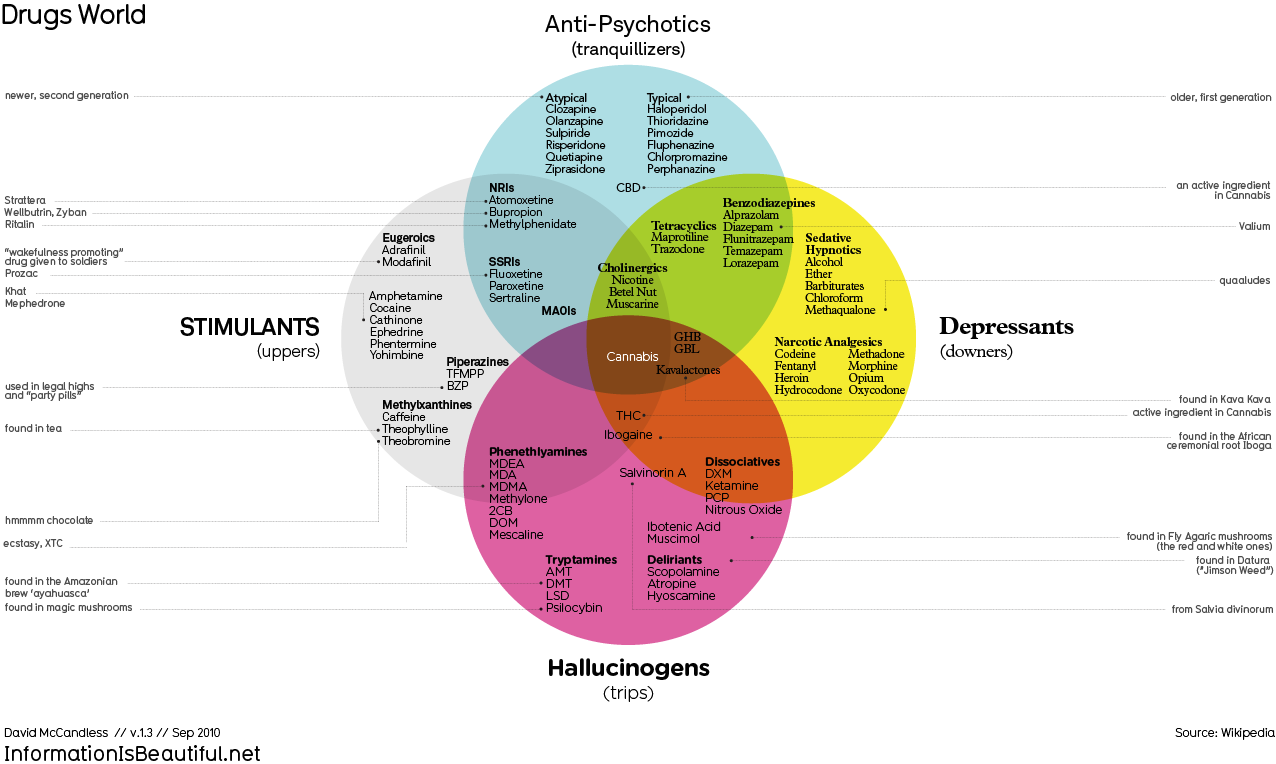 brainsx:  !!!a blitzkrieg of information!!!! click to view in high res  Ooo I remember