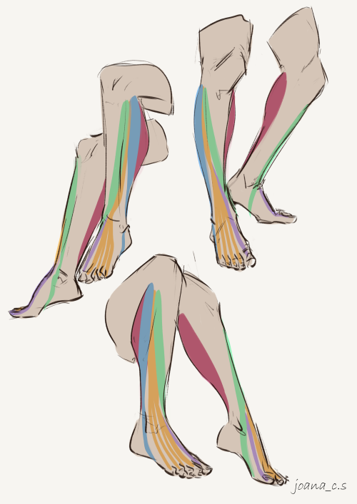 captainflipflops: Last feet/leg related drawings, for now! Arms are up next