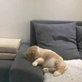 swallowurteeth:dr-pepsi:     OH NO HE CRASHED HIS BIKE