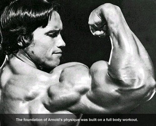 arnold