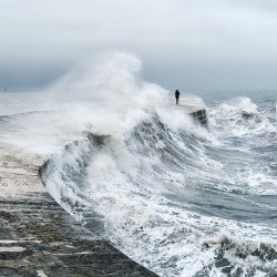 ashbishop:  Finn Beales  awesome