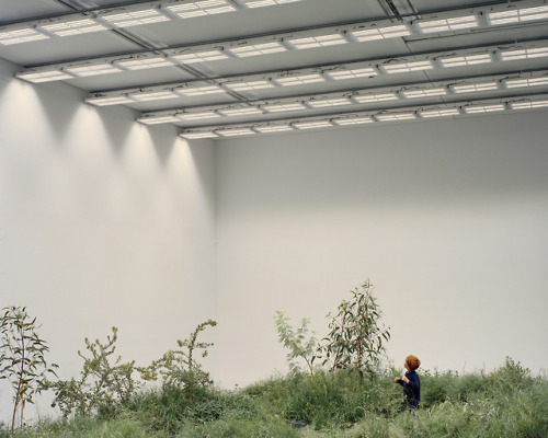 itscolossal:Indoor Installation of 10,000 Plants Considers Relationship Between Endangered Australia