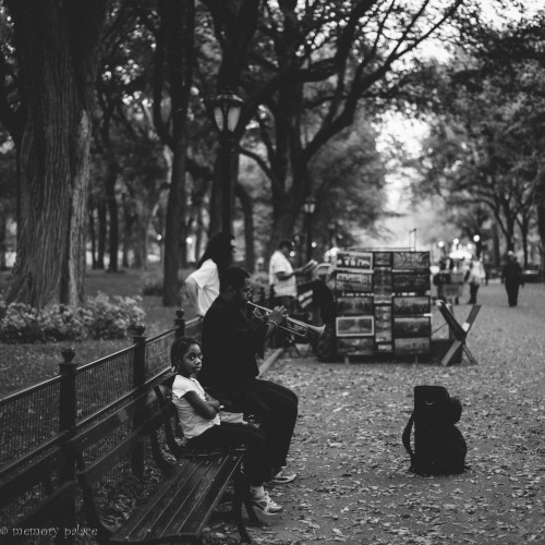 ~Central Park, October 2013~