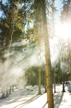 vanth:  (by Anna Ristuccia) 