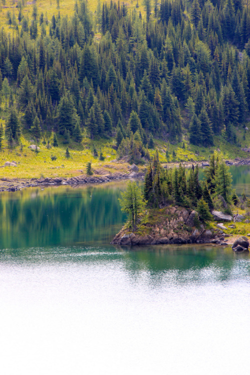 eartheld:  chelsearoseg:  4nimalparty:  rock isle (by T2iDrew)  xx  mostly nature 