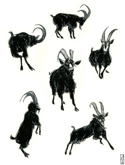 kitmillsdraws:  Saw The Witch the other day. Here’s that goat. 