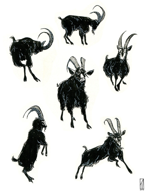 kitmillsdraws:Saw The Witch the other day. Here’s that goat.@ophiolatreia