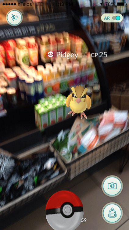 butterscotch-cinnamon-pie:I caught a pidgey at Starbucks. They’re chubby and I love them.