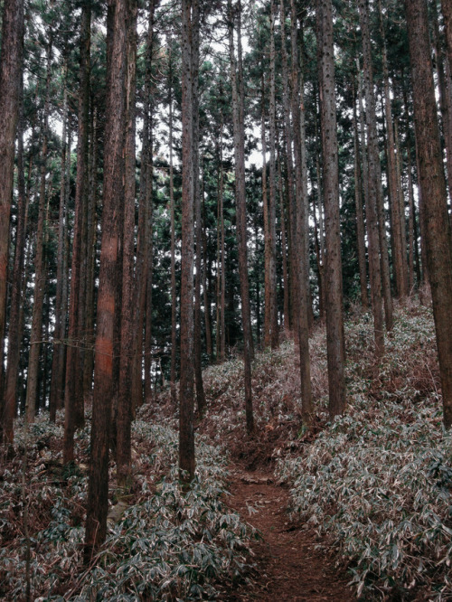 winter hike