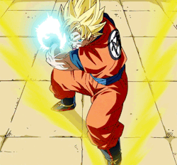 Tenkaichi Budokai