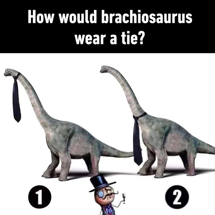 👔⠀
#brachiosaurus #tie...